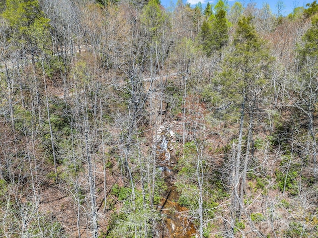 000 Bulling Creek Dr, Hendersonville, NC 28739