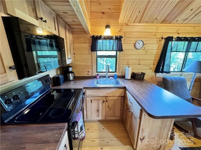 kitchen featuring black appliances, a sink, dark countertops, plenty of natural light, and wooden walls