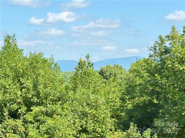 view of mountain background featuring a forest