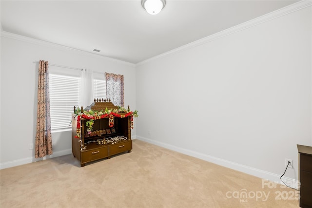 12305 Stinson Ct, Charlotte, NC 28277 - interior space with light carpet, baseboards, and ornamental molding