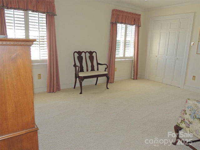 sitting room featuring crown molding, baseboards, and carpet