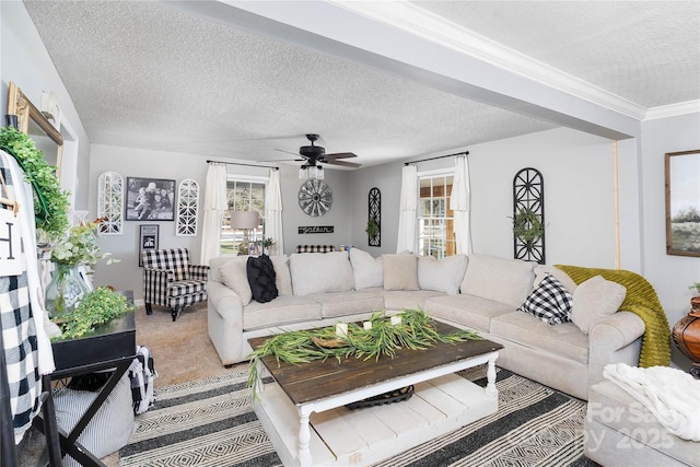 447 Henderson Rd, Chesnee, SC 29323 - living area with crown molding, a ceiling fan, light carpet, and a textured ceiling