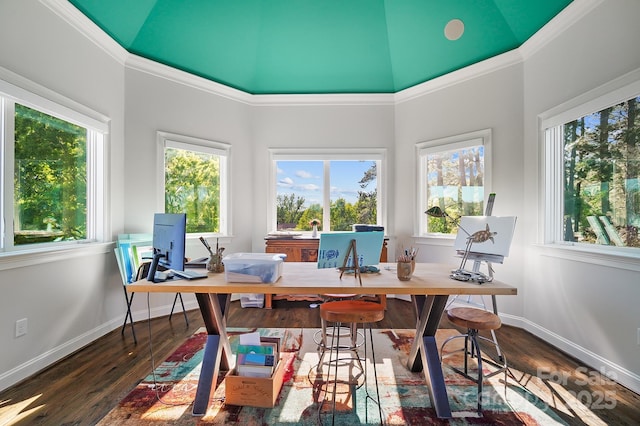 office with dark wood-type flooring, baseboards, and plenty of natural light