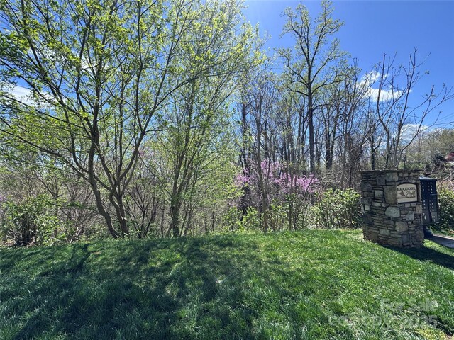 44 Samuel Ashe Dr, Asheville, NC 28805 - photo 4