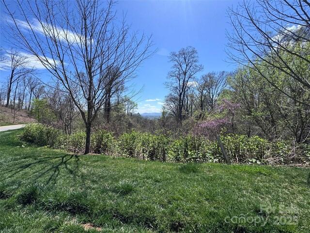44 Samuel Ashe Dr, Asheville, NC 28805 - photo 1