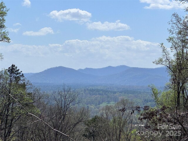 44 Samuel Ashe Dr, Asheville, NC 28805 - photo 3