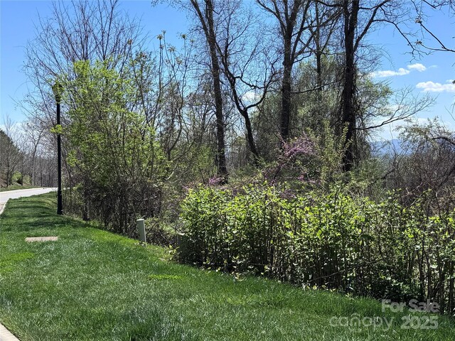 44 Samuel Ashe Dr, Asheville, NC 28805 - photo 2