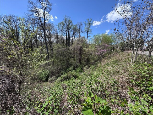 44 Samuel Ashe Dr, Asheville, NC 28805 - photo 5
