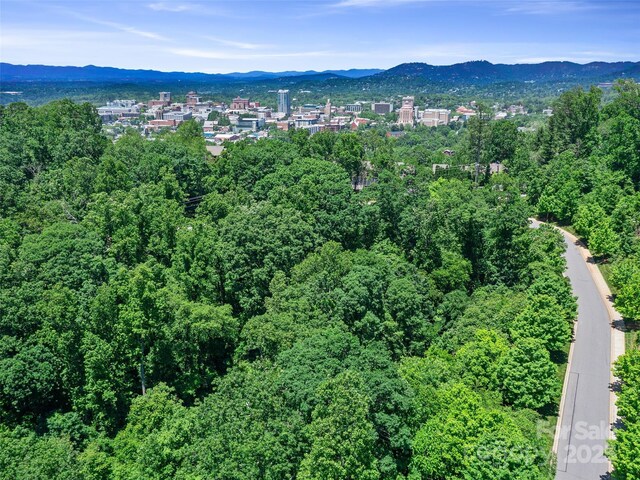 44 Samuel Ashe Dr, Asheville, NC 28805 - photo 10