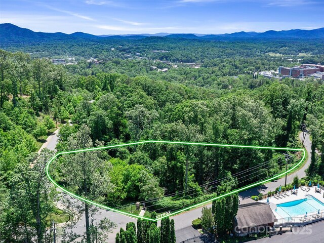 44 Samuel Ashe Dr, Asheville, NC 28805 - photo 11