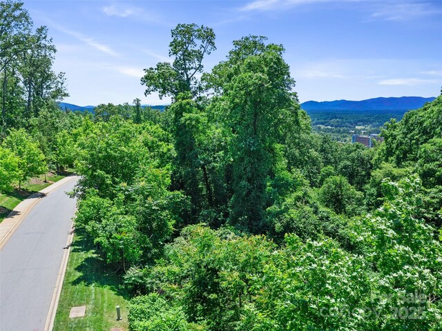 44 Samuel Ashe Dr, Asheville, NC 28805 - photo 12