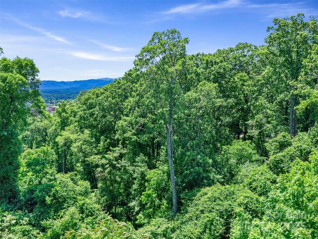 44 Samuel Ashe Dr, Asheville, NC 28805 - photo 13