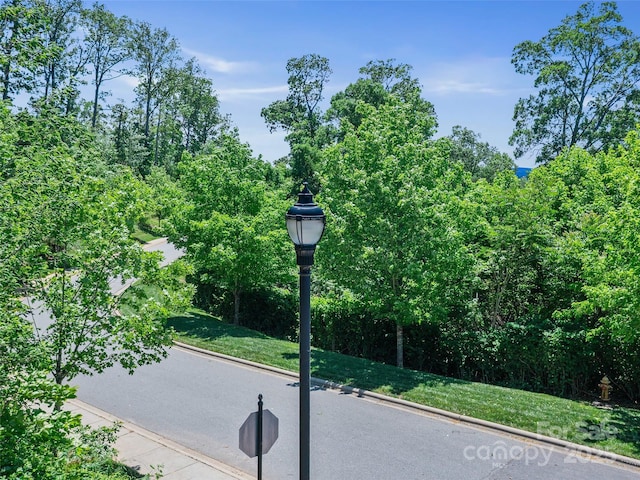 44 Samuel Ashe Dr, Asheville, NC 28805 - photo 14
