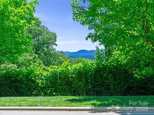 44 Samuel Ashe Dr, Asheville, NC 28805 - photo 17