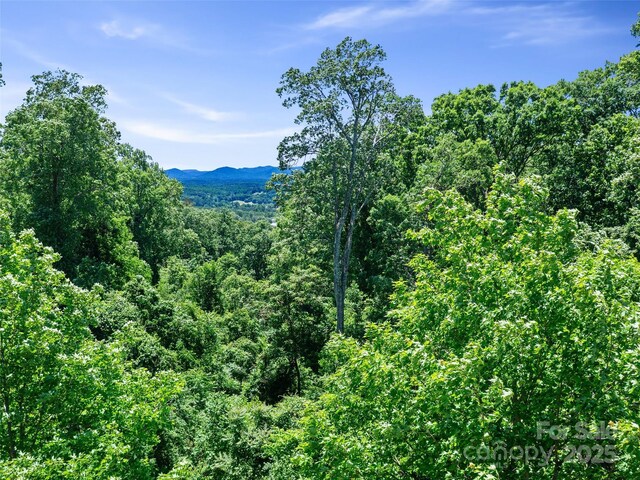 44 Samuel Ashe Dr, Asheville, NC 28805 - photo 18
