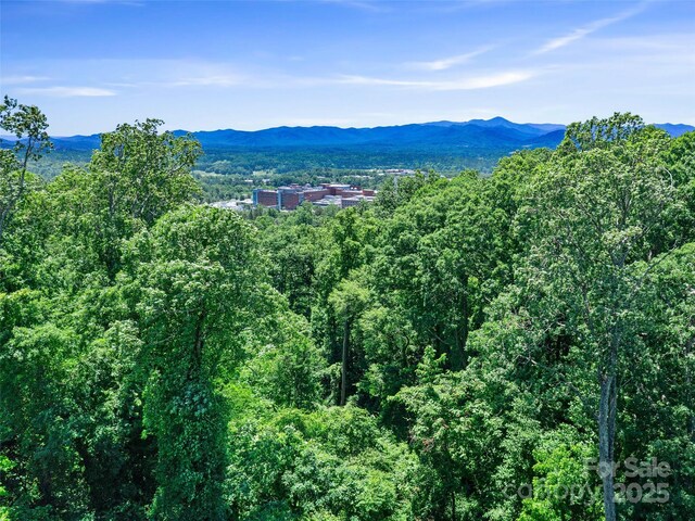 44 Samuel Ashe Dr, Asheville, NC 28805 - photo 19