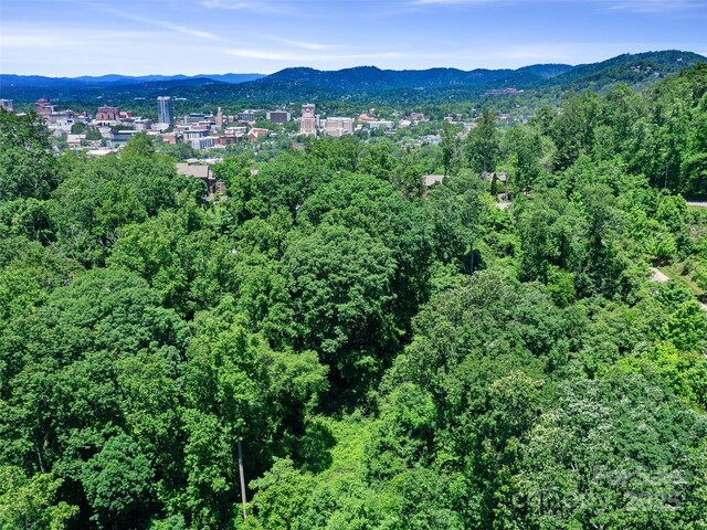 44 Samuel Ashe Dr, Asheville, NC 28805 - photo 20