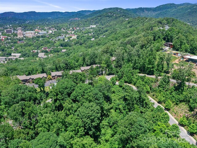 44 Samuel Ashe Dr, Asheville, NC 28805 - photo 21