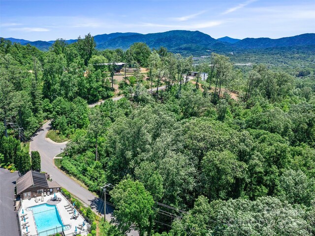 44 Samuel Ashe Dr, Asheville, NC 28805 - photo 22
