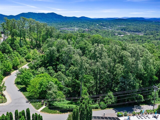 44 Samuel Ashe Dr, Asheville, NC 28805 - photo 23