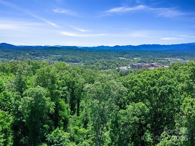 44 Samuel Ashe Dr, Asheville, NC 28805 - photo 24