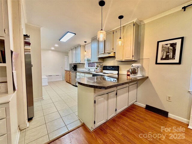 kitchen featuring a peninsula, under cabinet range hood, a sink, stainless steel appliances, and baseboards