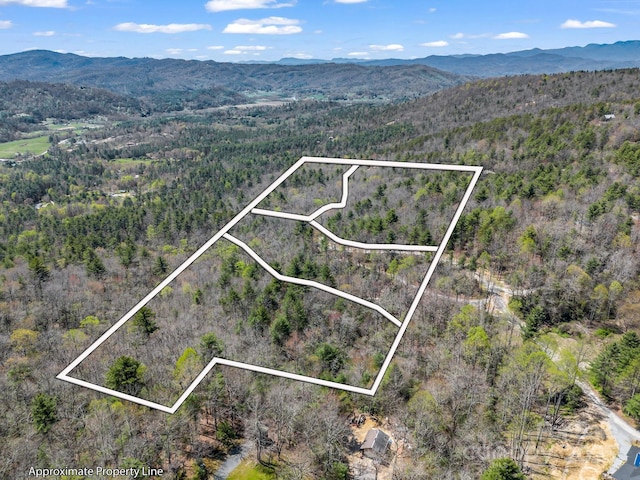 0000 Bulling Creek Dr, Hendersonville, NC 28739
