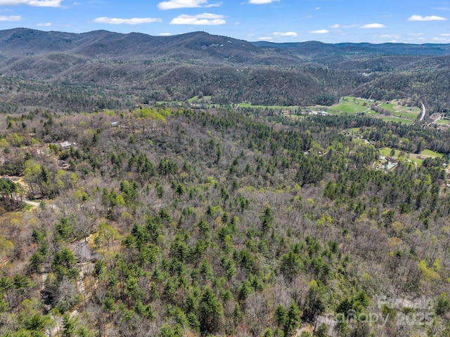 0000 Bulling Creek Dr, Hendersonville, NC 28739
