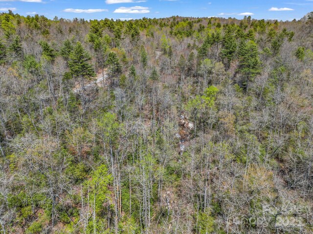 0000 Bulling Creek Dr, Hendersonville, NC 28739