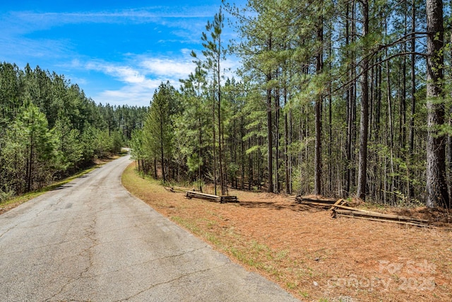 19 Sunset Dr Unit 19, Mill Spring, NC 28756 - photo 2