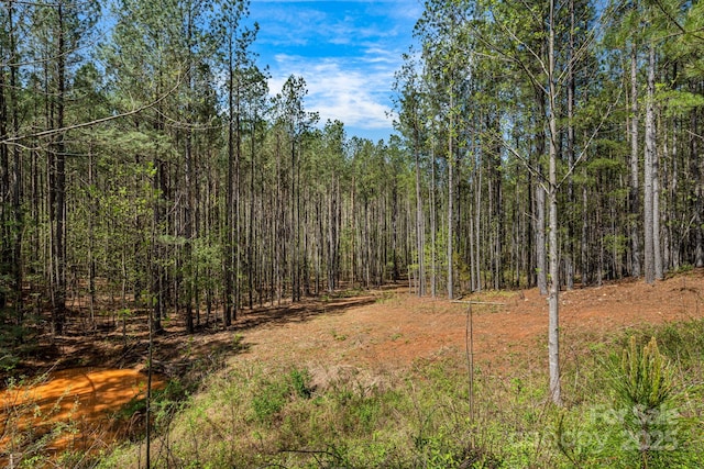 19 Sunset Dr Unit 19, Mill Spring, NC 28756 - photo 4
