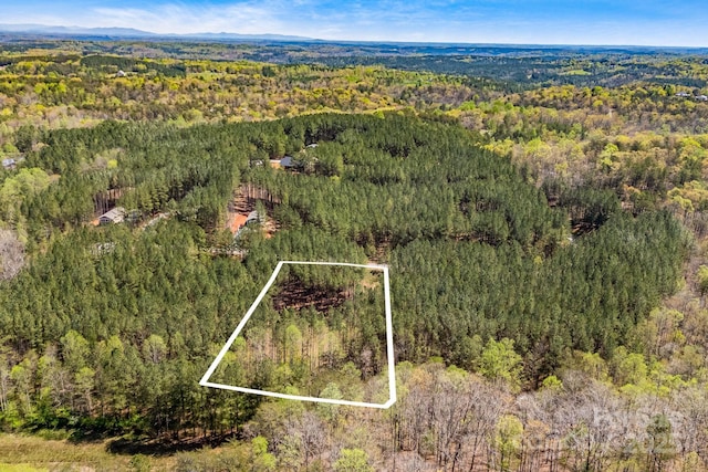 19 Sunset Dr Unit 19, Mill Spring, NC 28756 - photo 8