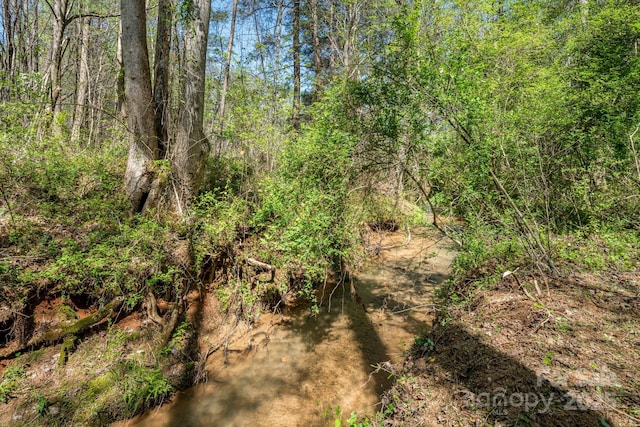 19 Sunset Dr Unit 19, Mill Spring, NC 28756 - photo 11