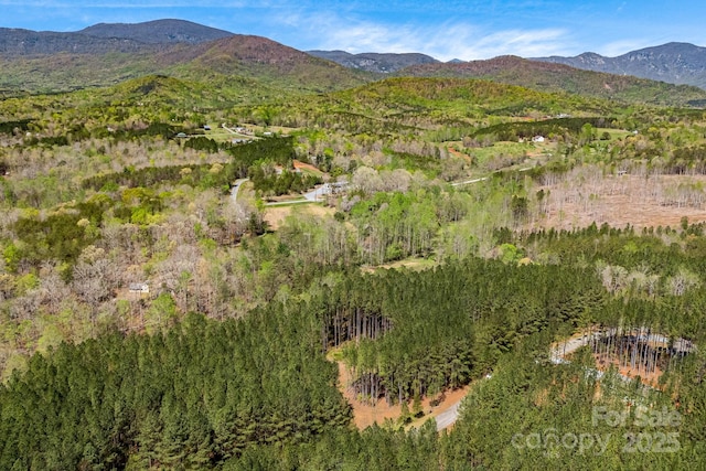 19 Sunset Dr Unit 19, Mill Spring, NC 28756 - photo 19