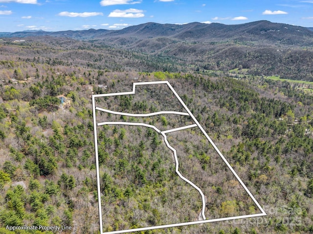 999 Bulling Creek Dr, Hendersonville, NC 28739