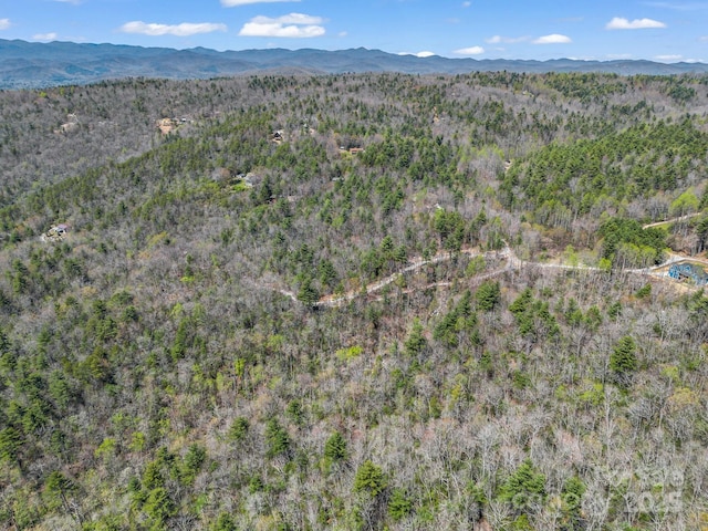 999 Bulling Creek Dr, Hendersonville, NC 28739