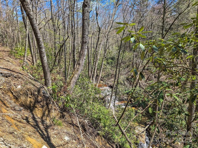 999 Bulling Creek Dr, Hendersonville, NC 28739