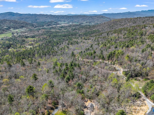 999 Bulling Creek Dr, Hendersonville, NC 28739