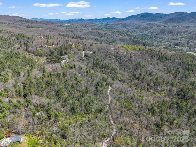 999 Bulling Creek Dr, Hendersonville, NC 28739