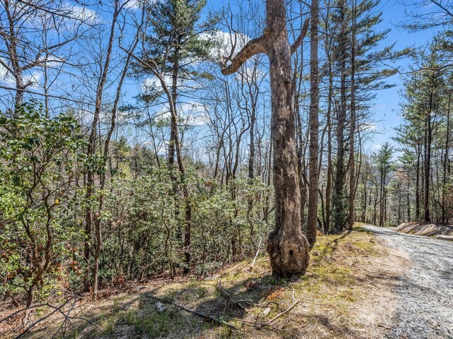 999 Bulling Creek Dr, Hendersonville, NC 28739