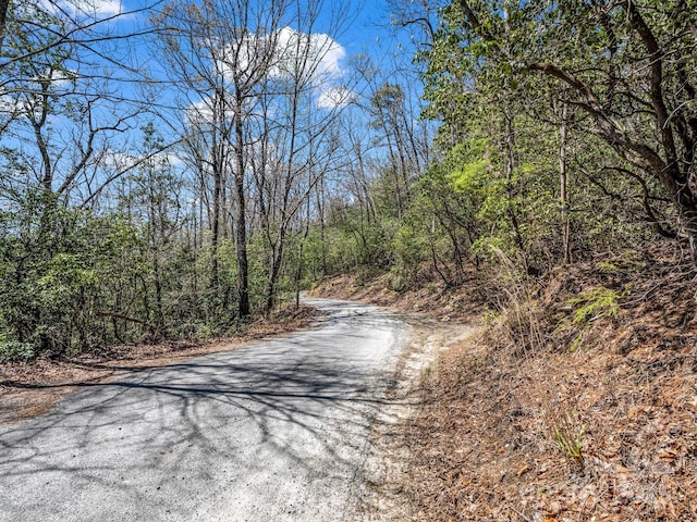 999 Bulling Creek Dr, Hendersonville, NC 28739