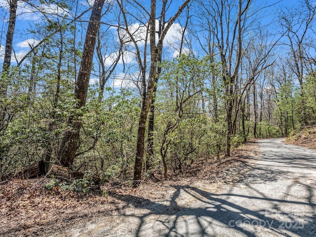 999 Bulling Creek Dr, Hendersonville, NC 28739