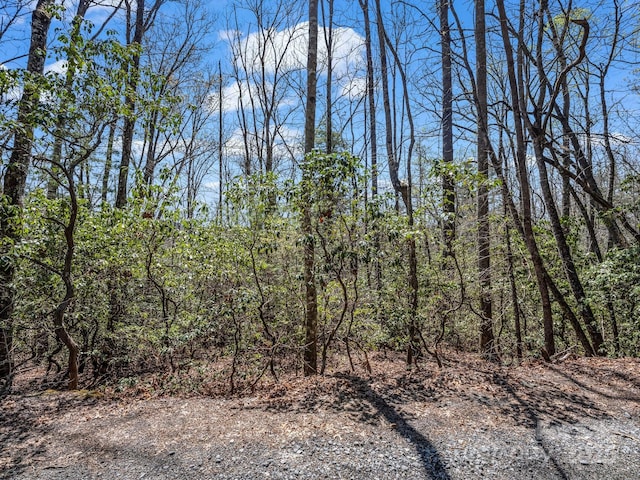 999 Bulling Creek Dr, Hendersonville, NC 28739