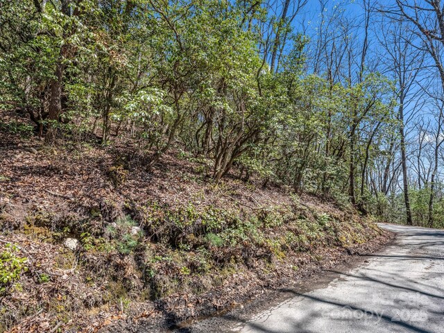 999 Bulling Creek Dr, Hendersonville, NC 28739
