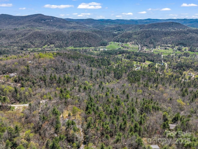 999 Bulling Creek Dr, Hendersonville, NC 28739