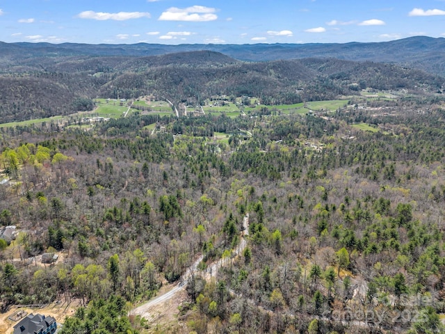 999 Bulling Creek Dr, Hendersonville, NC 28739