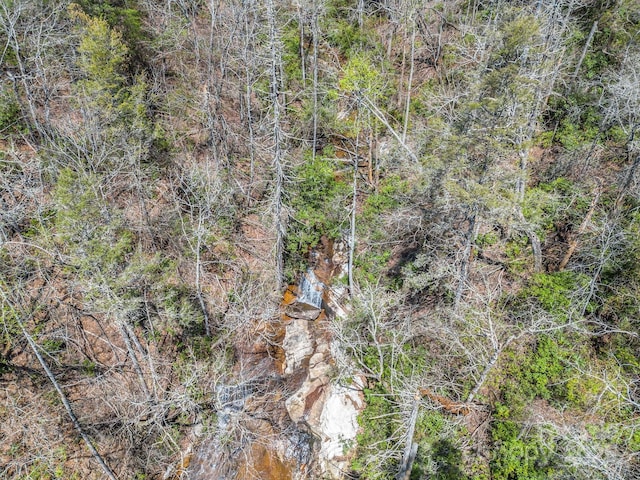 999 Bulling Creek Dr, Hendersonville, NC 28739