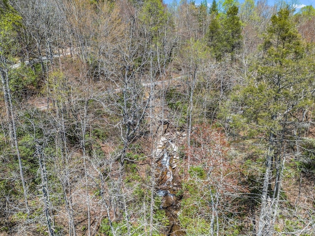 999 Bulling Creek Dr, Hendersonville, NC 28739