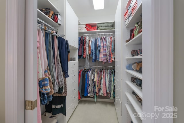 104 Hallmark Xing, Rock Hill, SC 29732 - spacious closet with carpet floors