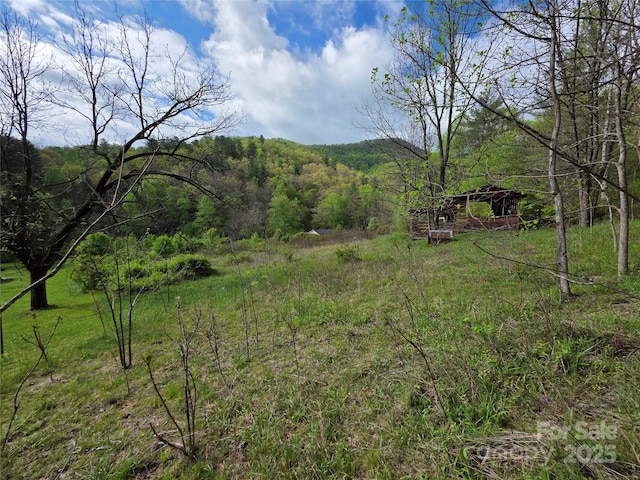 00 Greens Creek Rd, Sylva, NC 28779